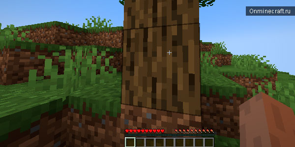 Выделенный блок древесины